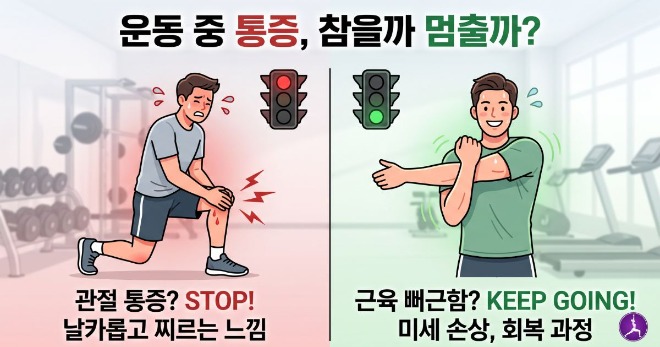 운동 중 통증이 있을때 해결하는 인포그래픽