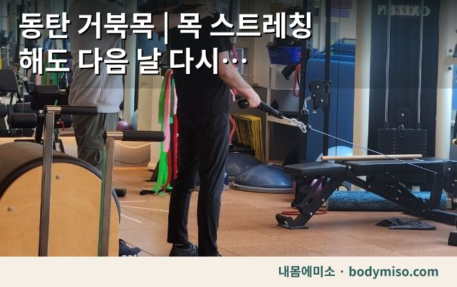 동탄 어깨 재활운동 스트레칭 자세