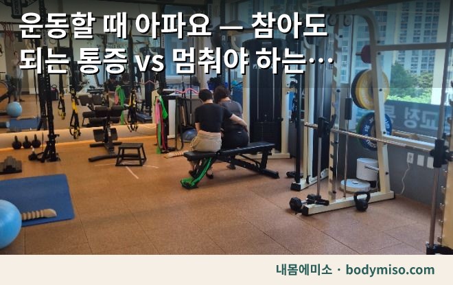 동탄 허리운동 피트니스 센터 머신