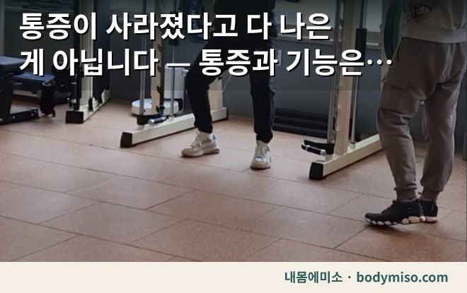 동탄 스쿼트 하체운동 피트니스