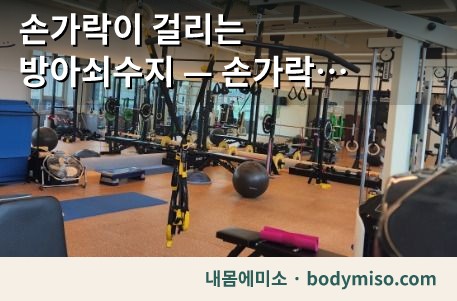 동탄 피트니스센터 전신운동 기구 운동장