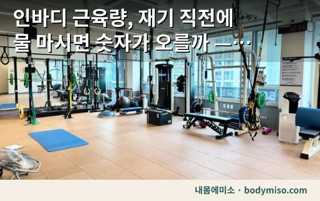 동탄 피트니스 센터 전신운동 기구
