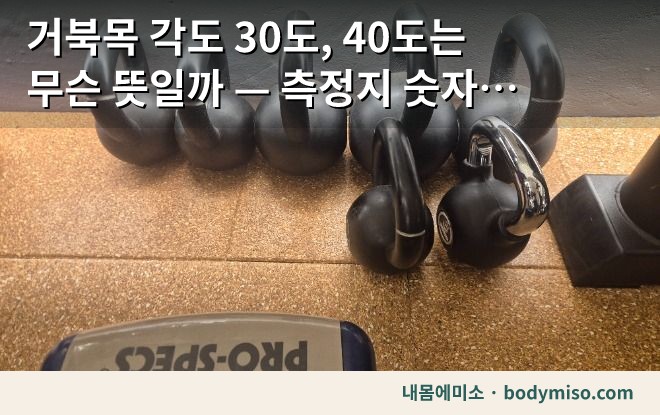 동탄  덤벨 운동 기구