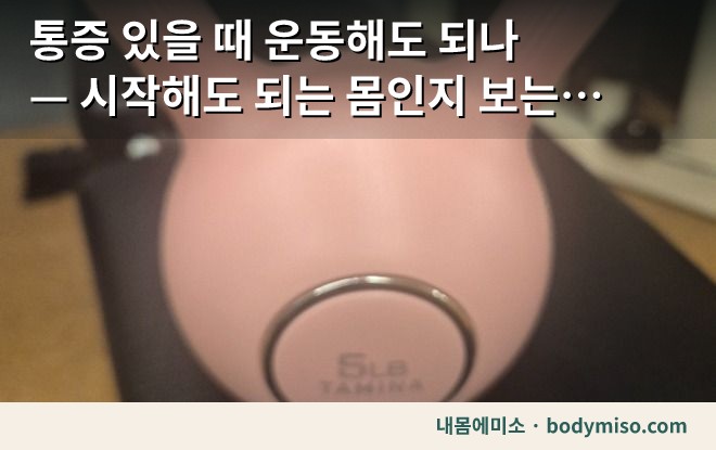 통증 있을 때 운동 시작 판단에 쓰는 동탄 내몸에미소 운동 소도구