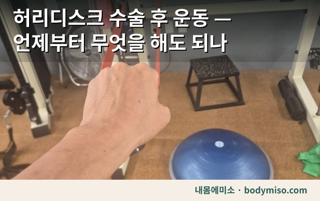 허리디스크 수술 후 운동에 쓰는 동탄 내몸에미소 보수볼과 세라밴드