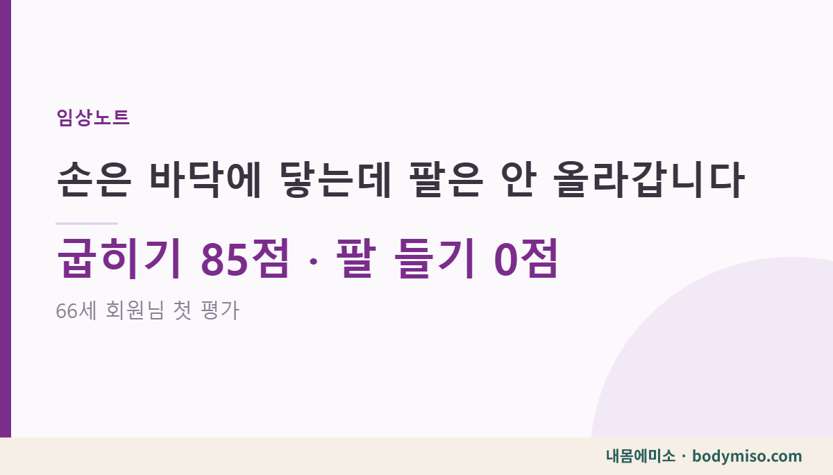 60대 유연성 — 손이 바닥에 닿는데 팔은 안 올라가던 66세 첫 평가