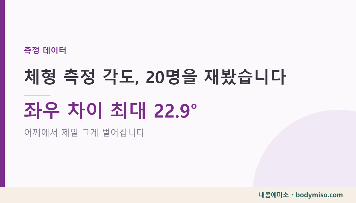 체형 측정 각도 분포 — 20명을 재보니 좌우 차이가 제일 크게 벌어진 항목
