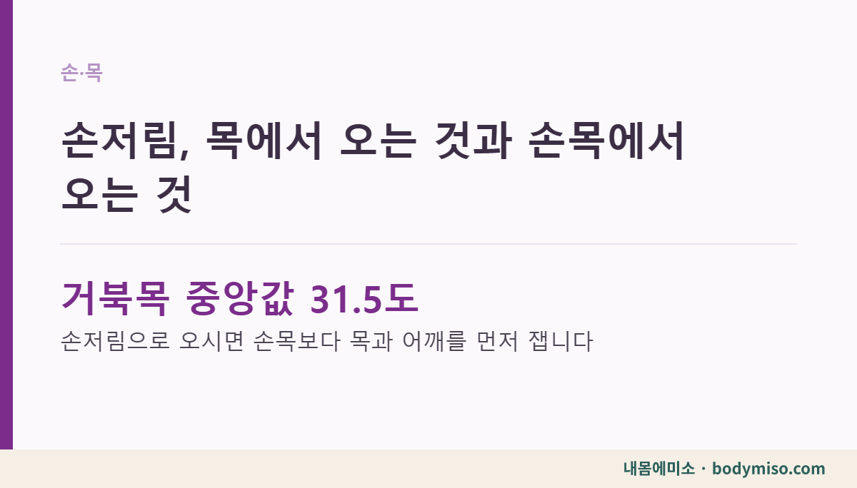 손저림, 목에서 오는 것과 손목에서 오는 것 내몸에미소