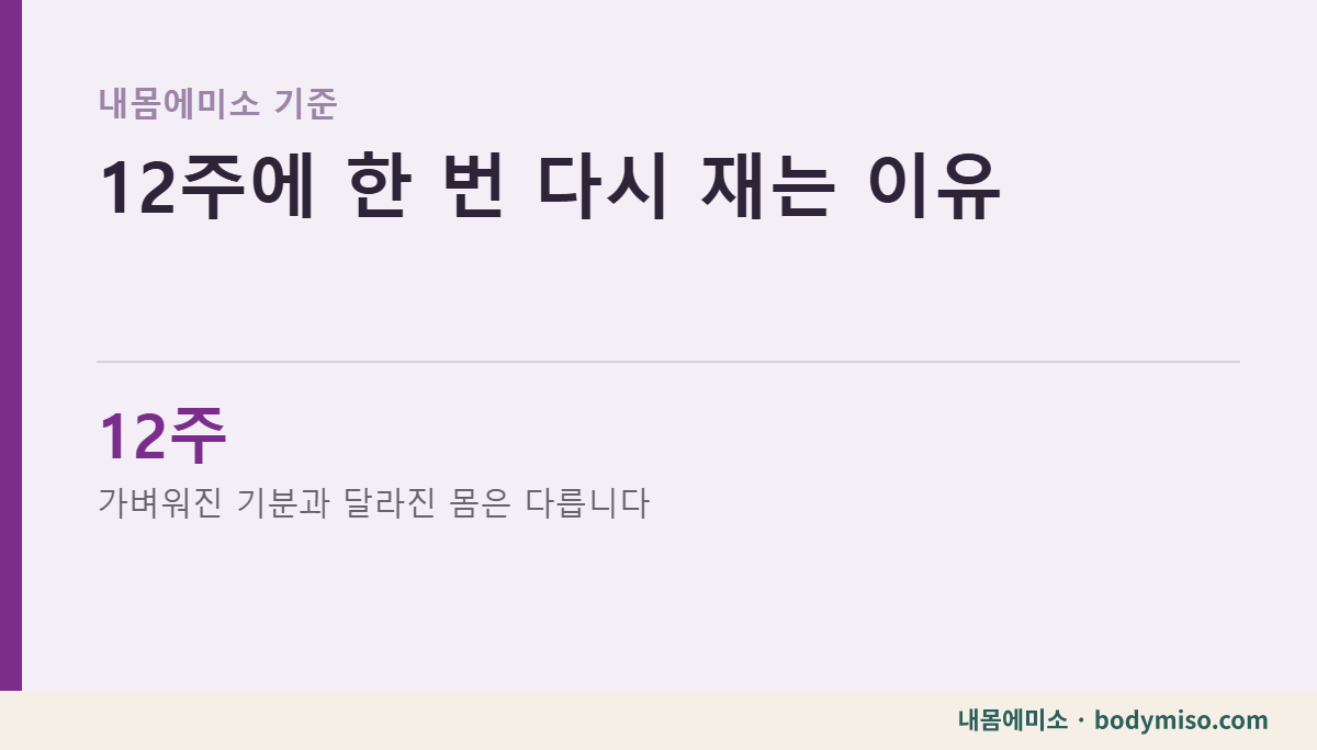12주에 한 번 다시 재는 이유 — 동탄 내몸에미소