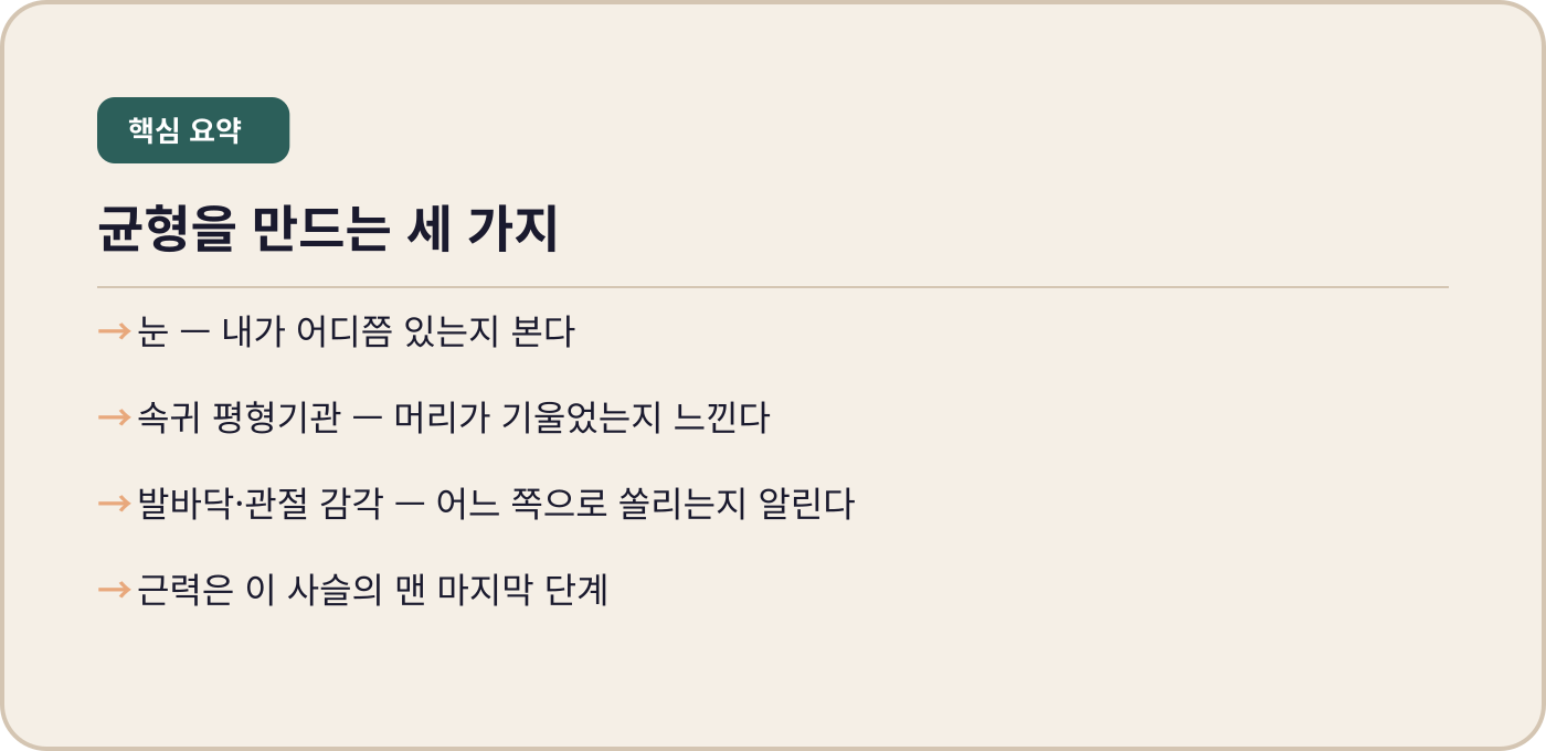 동탄 내몸에미소 균형을 만드는 세 가지 요소 시각 평형감각 발바닥 감각