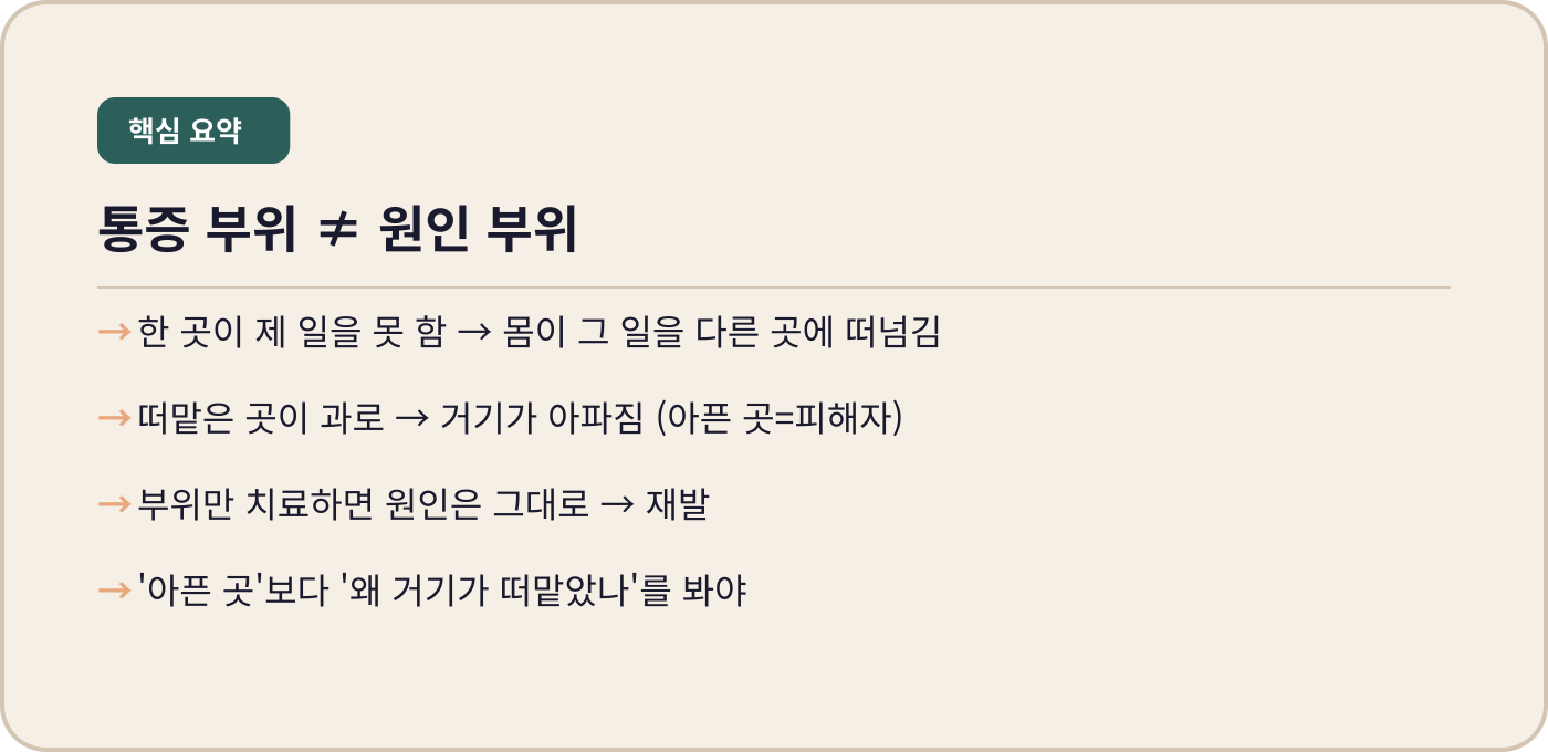 통증 부위와 원인 부위는 다르다 — 내몸에미소