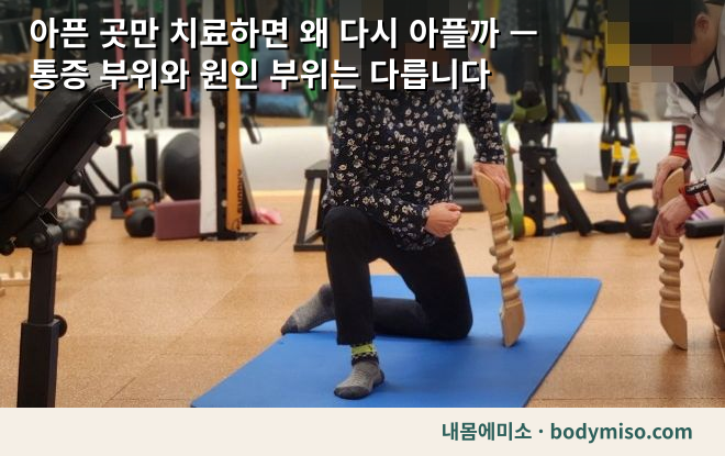 아픈 곳만 치료하면 왜 다시 아플까 — 통증 부위와 원인 부위는 다릅니다