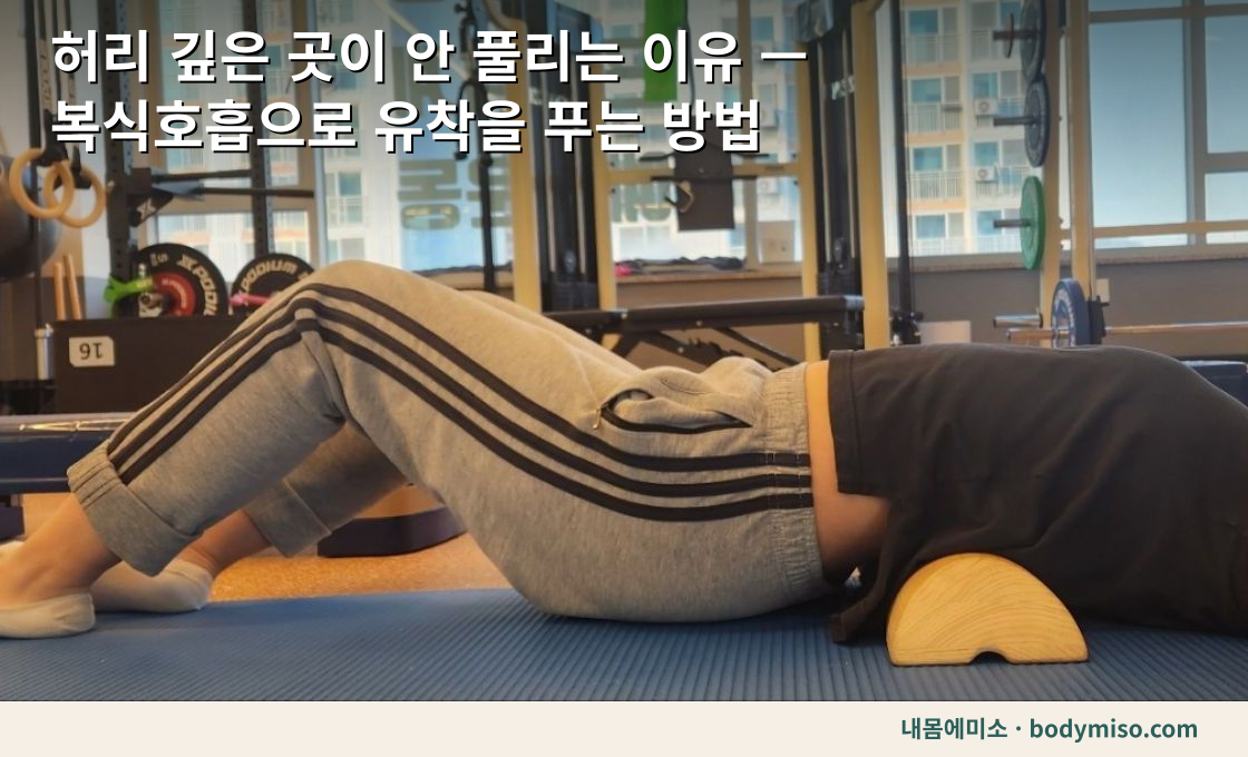 허리 깊은 곳이 안 풀리는 이유 — 복식호흡으로 유착을 푸는 방법